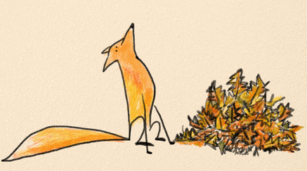 15 creative animated GIF email examples: fox and leaves