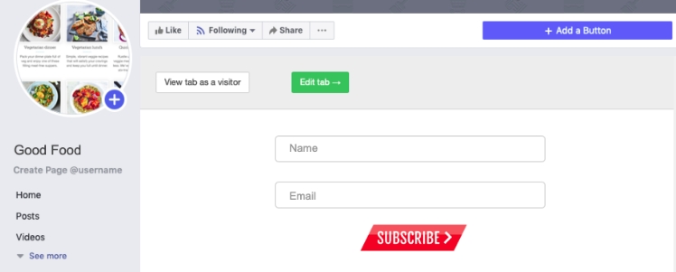 How iframe subscription form looks like