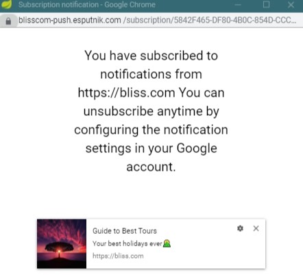 Unsubscribe option