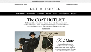 Пример письма Net-a-Porter
