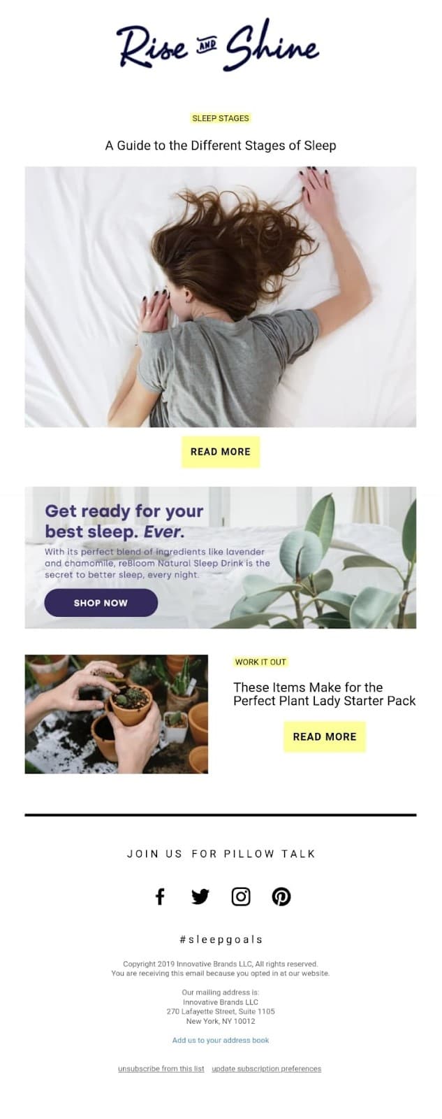 Email newsletter by reBloom