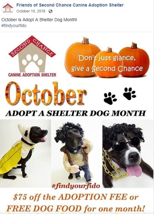 Facebook post for Adopt a Shelter Dog Month 